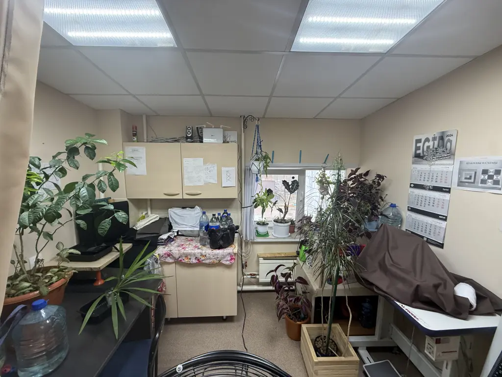 Автоателье