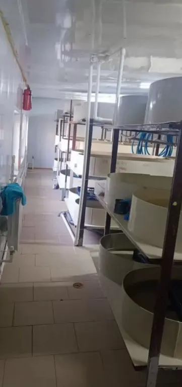 Раковая ферма " Ростов-Лобстер"