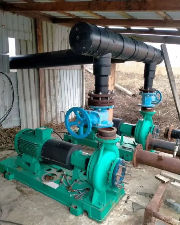 Раковая ферма " Ростов-Лобстер"