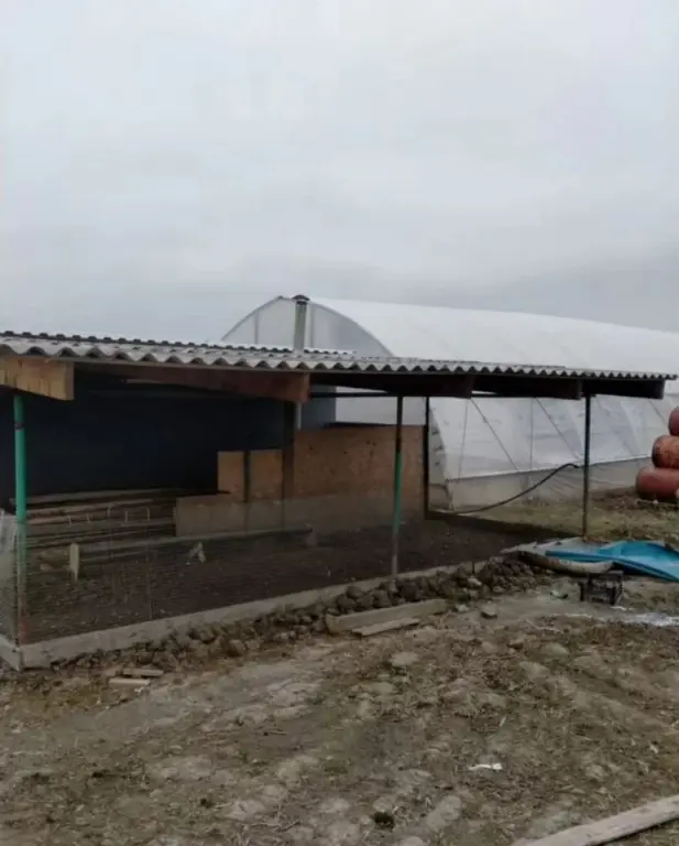 Раковая ферма " Ростов-Лобстер"