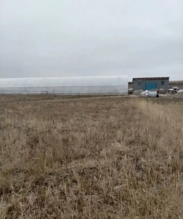 Раковая ферма " Ростов-Лобстер"