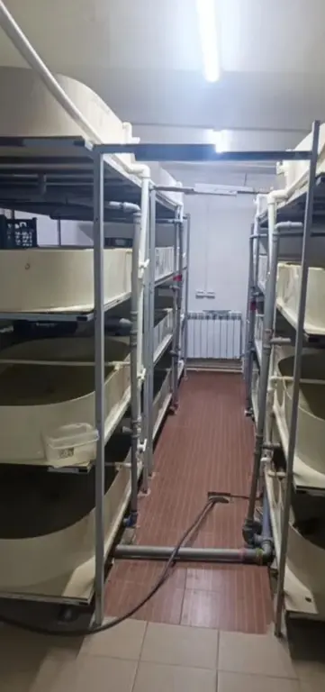 Раковая ферма " Ростов-Лобстер"